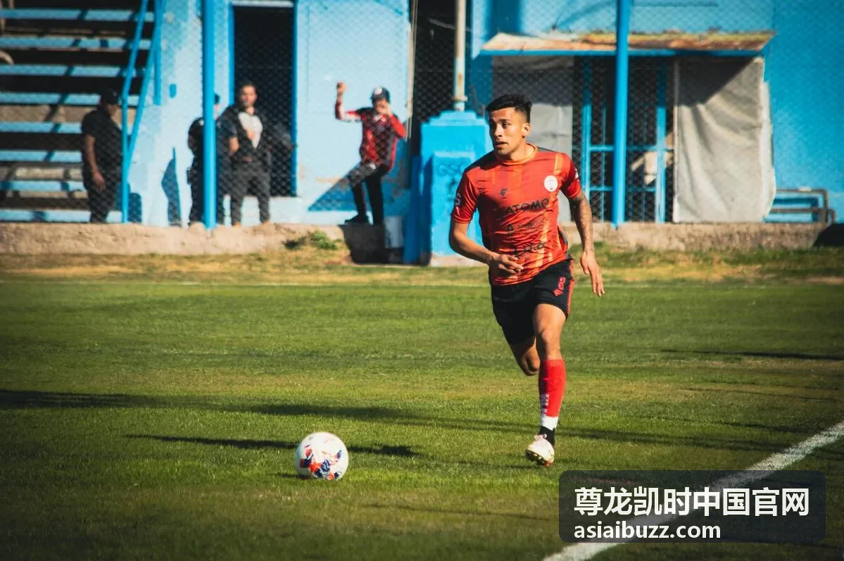 尊龙凯时中国官网官方入口指南：访问前的页面核对示意